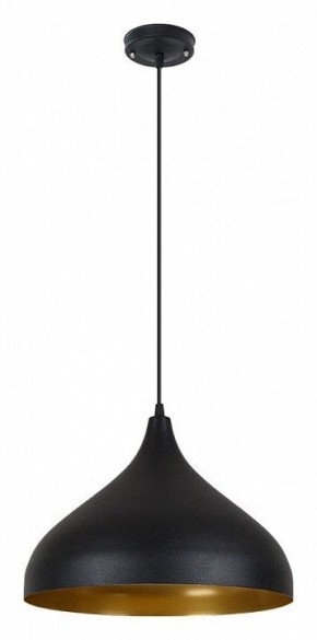 Подвесной светильник Arte Lamp Carmel A7076SP-1BK в Серове - serov.ok-mebel.com | фото 2