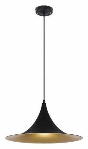 Подвесной светильник Arte Lamp Carmel A7080SP-1BK в Серове - serov.ok-mebel.com | фото 2