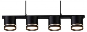 Подвесной светильник Arte Lamp Legacy A8024SP-4BK в Серове - serov.ok-mebel.com | фото