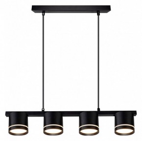 Подвесной светильник Arte Lamp Legacy A8024SP-4BK в Серове - serov.ok-mebel.com | фото 2