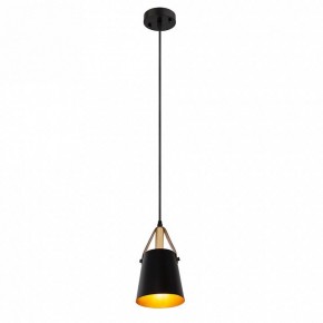 Подвесной светильник Arte Lamp Thomas A7032SP-1BK в Серове - serov.ok-mebel.com | фото 3