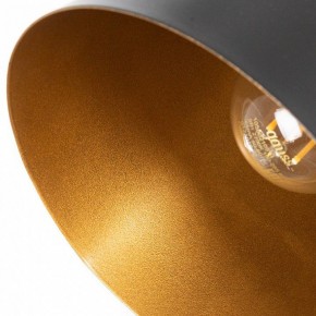 Подвесной светильник Arte Lamp Thomas A7032SP-1BK в Серове - serov.ok-mebel.com | фото 5