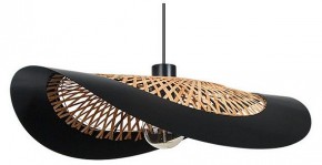 Подвесной светильник Arte Lamp Woodstock A7059SP-1BK в Серове - serov.ok-mebel.com | фото