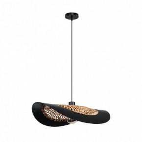 Подвесной светильник Arte Lamp Woodstock A7059SP-1BK в Серове - serov.ok-mebel.com | фото 2