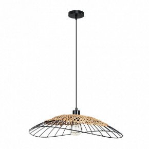 Подвесной светильник Arte Lamp Woodstock A7061SP-1BK в Серове - serov.ok-mebel.com | фото 2