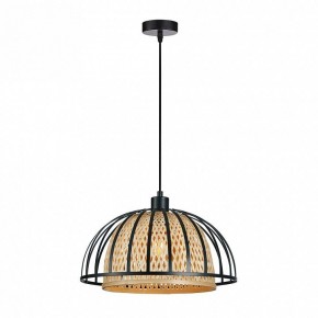 Подвесной светильник Arte Lamp Woodstock A7071SP-1BK в Серове - serov.ok-mebel.com | фото