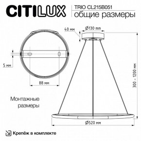 Подвесной светильник Citilux Trio CL215B051 в Серове - serov.ok-mebel.com | фото 8