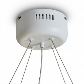 Подвесной светильник Freya Rain FR5546PL-L60W в Серове - serov.ok-mebel.com | фото 9