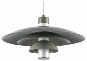 Подвесной светильник Lightstar Erbareo 799019 в Серове - serov.ok-mebel.com | фото