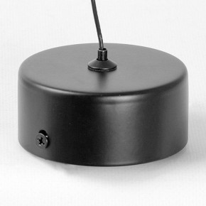 Подвесной светильник Lussole Blount LSP-7356 в Серове - serov.ok-mebel.com | фото 6