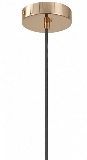 Подвесной светильник Moderli Charm V11176-1P в Серове - serov.ok-mebel.com | фото 8