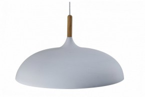 Подвесной светильник Moderli Hygo V11447-1P в Серове - serov.ok-mebel.com | фото