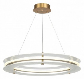 Подвесной светильник ST-Luce FAGY SL6245.203.01 в Серове - serov.ok-mebel.com | фото 2