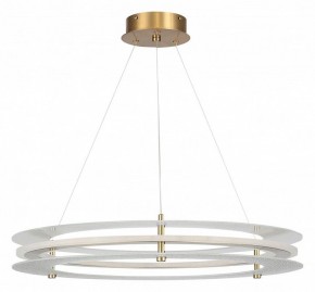 Подвесной светильник ST-Luce FAGY SL6245.203.01 в Серове - serov.ok-mebel.com | фото 3