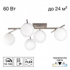 Потолочная люстра Citilux Dorsy CL223151 в Серове - serov.ok-mebel.com | фото 2