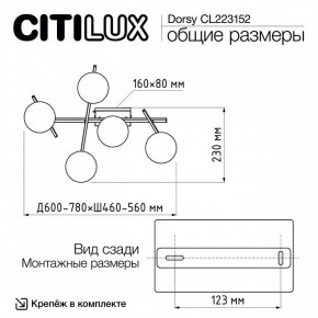 Потолочная люстра Citilux Dorsy CL223152 в Серове - serov.ok-mebel.com | фото 10
