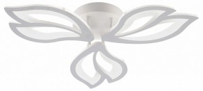 Потолочная люстра Natali Kovaltseva FORTUNA LED LAMPS 81107/2C в Серове - serov.ok-mebel.com | фото