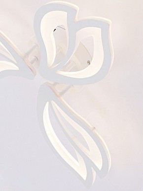 Потолочная люстра Natali Kovaltseva FORTUNA LED LAMPS 81107/2C в Серове - serov.ok-mebel.com | фото 11