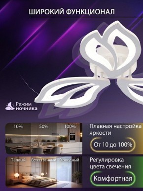 Потолочная люстра Natali Kovaltseva FORTUNA LED LAMPS 81107/2C в Серове - serov.ok-mebel.com | фото 5