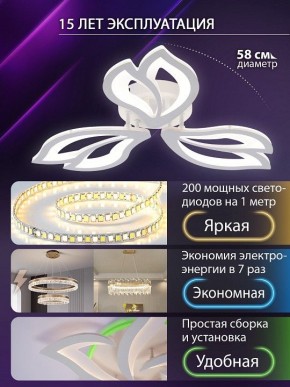 Потолочная люстра Natali Kovaltseva FORTUNA LED LAMPS 81107/2C в Серове - serov.ok-mebel.com | фото 6