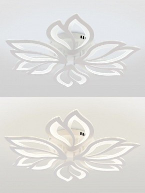 Потолочная люстра Natali Kovaltseva FORTUNA LED LAMPS 81107/6C в Серове - serov.ok-mebel.com | фото 4