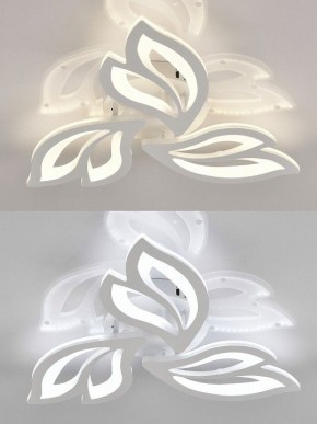 Потолочная люстра Natali Kovaltseva  LED LAMPS 81426 в Серове - serov.ok-mebel.com | фото 4