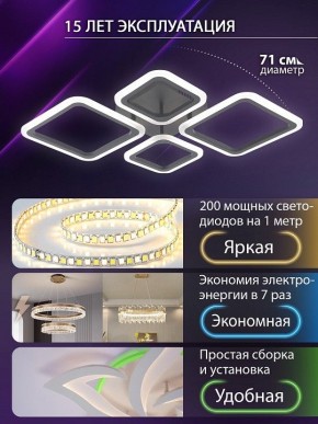 Потолочная люстра Natali Kovaltseva OPTI LED LAMPS 81108/2C в Серове - serov.ok-mebel.com | фото 5