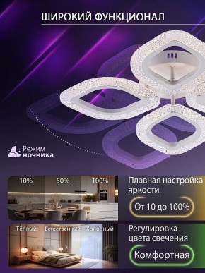 Потолочная люстра Natali Kovaltseva SM LED LAMPS 81455 в Серове - serov.ok-mebel.com | фото 6