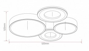 Потолочная люстра Rivoli Aliona Б0066451 в Серове - serov.ok-mebel.com | фото 11