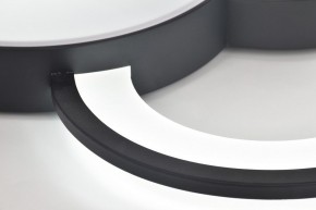 Потолочная люстра Rivoli Aliona Б0066452 в Серове - serov.ok-mebel.com | фото 10