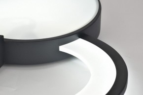 Потолочная люстра Rivoli Aliona Б0066452 в Серове - serov.ok-mebel.com | фото 11