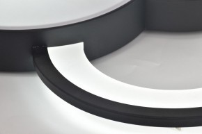 Потолочная люстра Rivoli Aliona Б0066452 в Серове - serov.ok-mebel.com | фото 12
