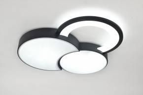 Потолочная люстра Rivoli Aliona Б0066452 в Серове - serov.ok-mebel.com | фото 8