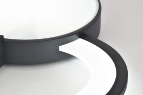 Потолочная люстра Rivoli Aliona Б0066452 в Серове - serov.ok-mebel.com | фото 9