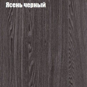 Прихожая ДИАНА-4 сек №11 (Ясень анкор/Дуб эльза) в Серове - serov.ok-mebel.com | фото 3