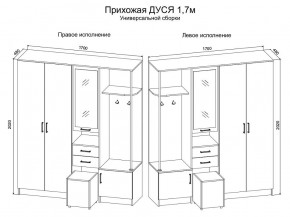 Прихожая Дуся 1.7 УНИ (Дуб Бунратти/Белый Бриллиант) в Серове - serov.ok-mebel.com | фото 2