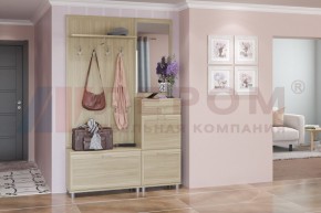 Прихожая Мелисса композиция 8 (Ясень Асахи) в Серове - serov.ok-mebel.com | фото