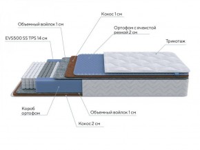 PROxSON Матрас Active Duo M/F (Ткань Трикотаж Эко) 160x190 в Серове - serov.ok-mebel.com | фото 7