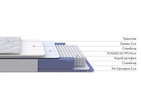 PROxSON Матрас Active Duo S/F (Ткань Трикотаж Эко) 80x200 в Серове - serov.ok-mebel.com | фото 2