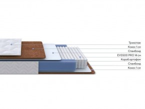 PROxSON Матрас Active F Roll (Ткань Трикотаж Эко) 80x200 в Серове - serov.ok-mebel.com | фото 3