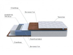 PROxSON Матрас Active F Roll (Ткань Трикотаж Эко) 120x200 в Серове - serov.ok-mebel.com | фото 6