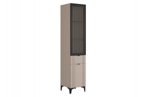 РИЧ Шкаф однодверный со стеклом в Серове - serov.ok-mebel.com | фото