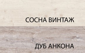 Шкаф 2D1SL, MONAKO, цвет Сосна винтаж/дуб анкона в Серове - serov.ok-mebel.com | фото 1