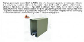 Шкаф-купе 1500 серии NEW CLASSIC K2+K2+B2+PL2(2 ящика+1 штанга+1 полка) профиль «Капучино» в Серове - serov.ok-mebel.com | фото 17