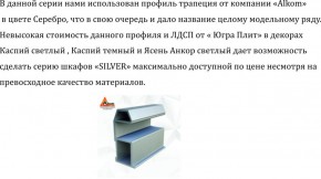 Шкаф-купе 1500 серии SILVER S1+S1+B2+PL2 (2 ящика+1 штанга+1 полка) профиль «Серебро» в Серове - serov.ok-mebel.com | фото 4