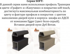 Шкаф-купе 1600 серии SOFT D1+D3+B2+PL1 (2 ящика+1штанга) профиль «Графит» в Серове - serov.ok-mebel.com | фото 11