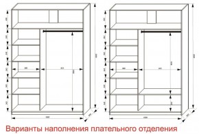 Шкаф-купе 1600 серии SOFT D6+D4+B2+PL2 (2 ящика+1штанга+1 полка) профиль «Капучино» в Серове - serov.ok-mebel.com | фото 8