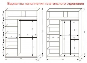 Шкаф-купе 1600 серии SOFT D6+D6+B2+PL3 (2 ящика+2штанги) профиль «Капучино» в Серове - serov.ok-mebel.com | фото 7