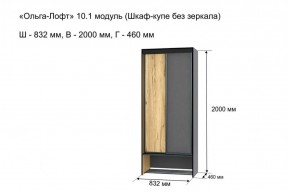 Шкаф купе без зеркала "Ольга-Лофт 10.1" в Серове - serov.ok-mebel.com | фото 3