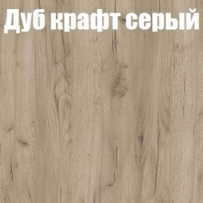 Шкаф-купе Эдем 1.5 (Дуб Крафт серый/Бетонный камень) двери ЛДСП в Серове - serov.ok-mebel.com | фото 4